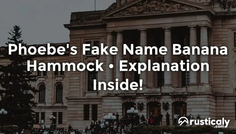 phoebe's fake name banana hammock