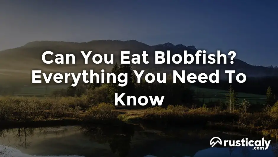 can you eat blobfish