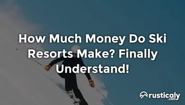 how much money do ski resorts make