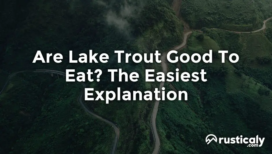are lake trout good to eat