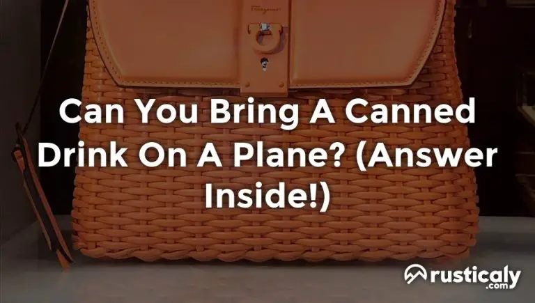 can you bring a canned drink on a plane