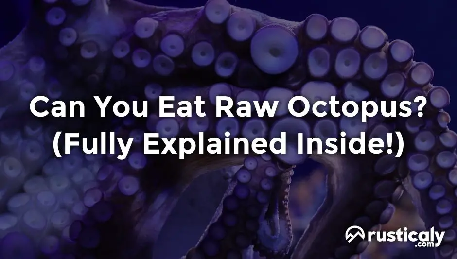 can you eat raw octopus
