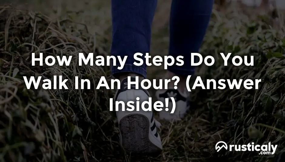 how many steps do you walk in an hour