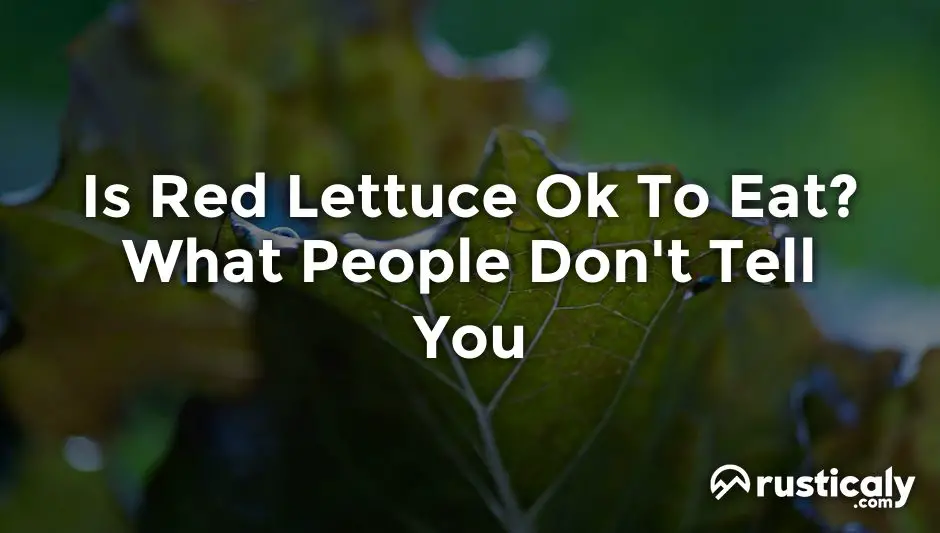 is red lettuce ok to eat