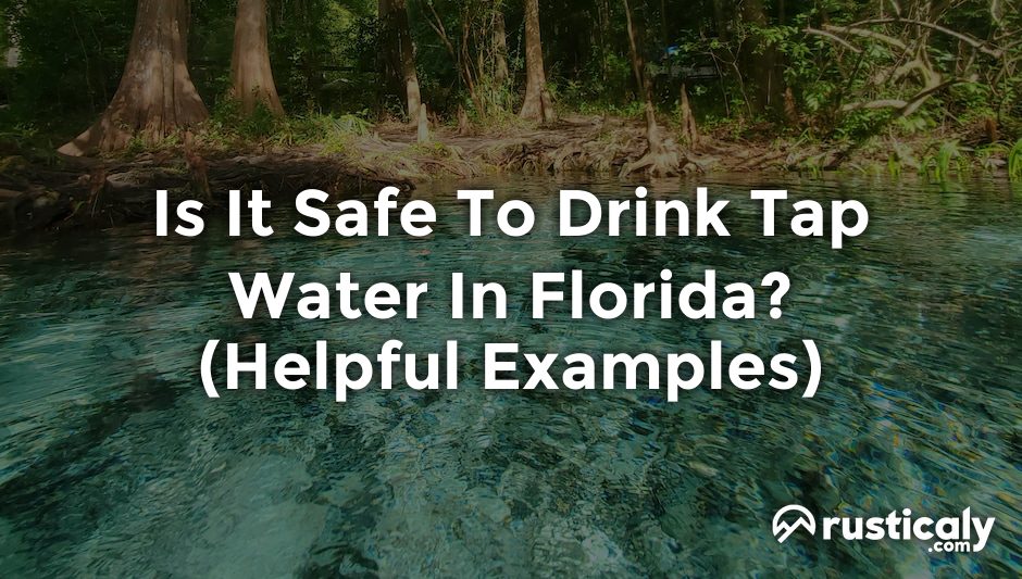 is it safe to drink tap water in florida