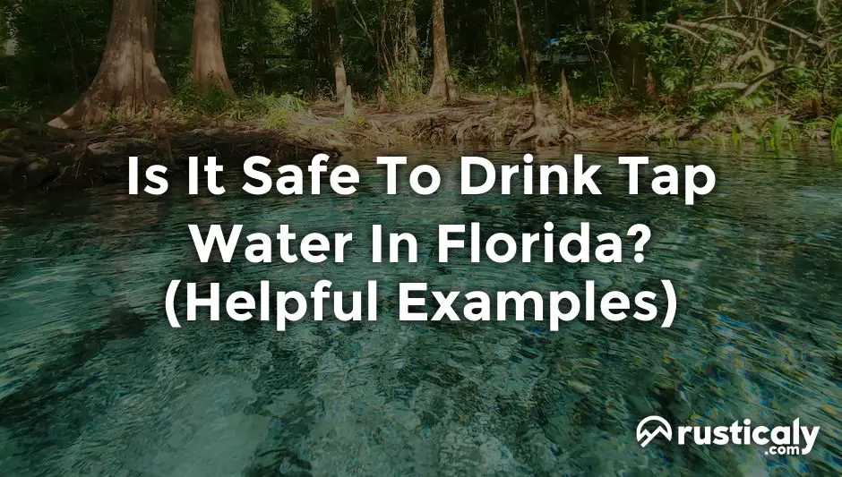 Is It Safe To Drink Tap Water In Florida? (Detailed Guide)