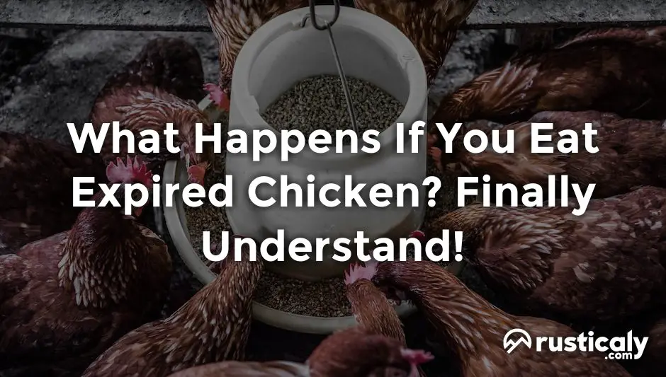 what happens if you eat expired chicken
