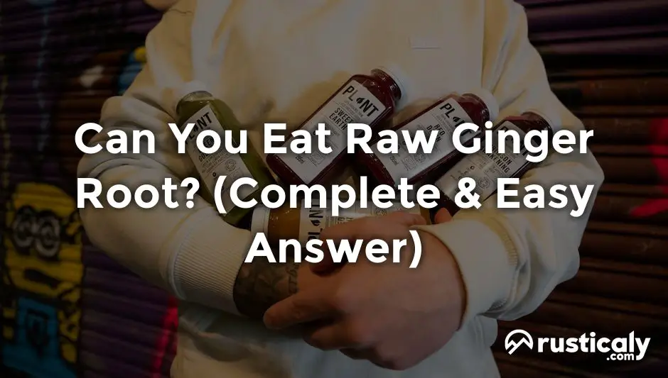 can you eat raw ginger root