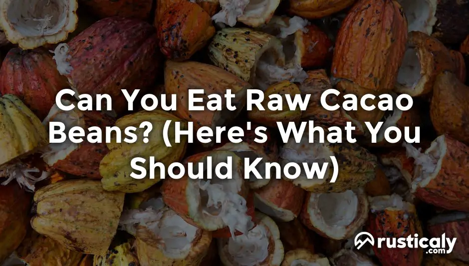 can you eat raw cacao beans