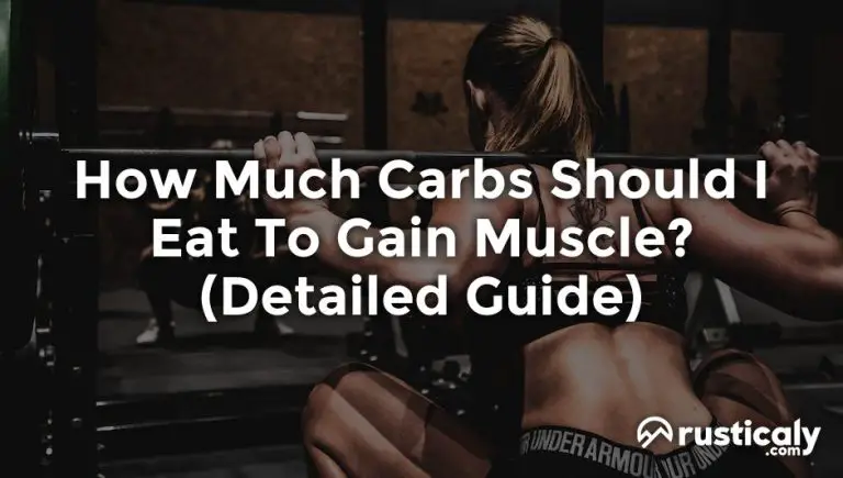 how much carbs should i eat to gain muscle