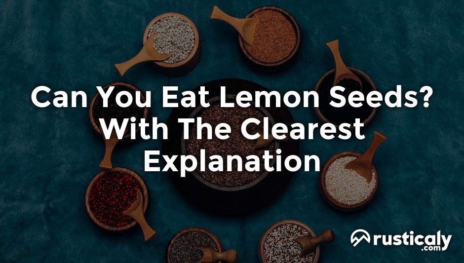 can you eat lemon seeds