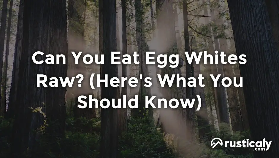 can you eat egg whites raw
