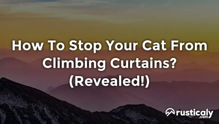 how to stop your cat from climbing curtains