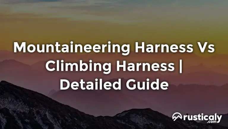 mountaineering harness vs climbing harness