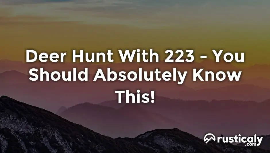 deer hunt with 223