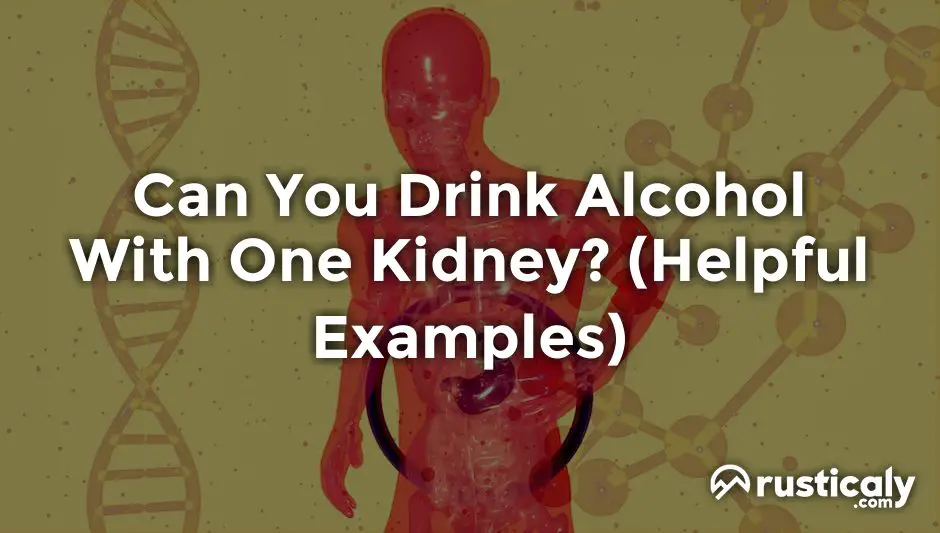 can you drink alcohol with one kidney
