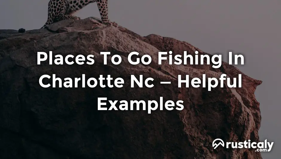 places to go fishing in charlotte nc