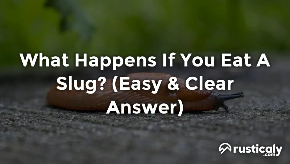 what happens if you eat a slug